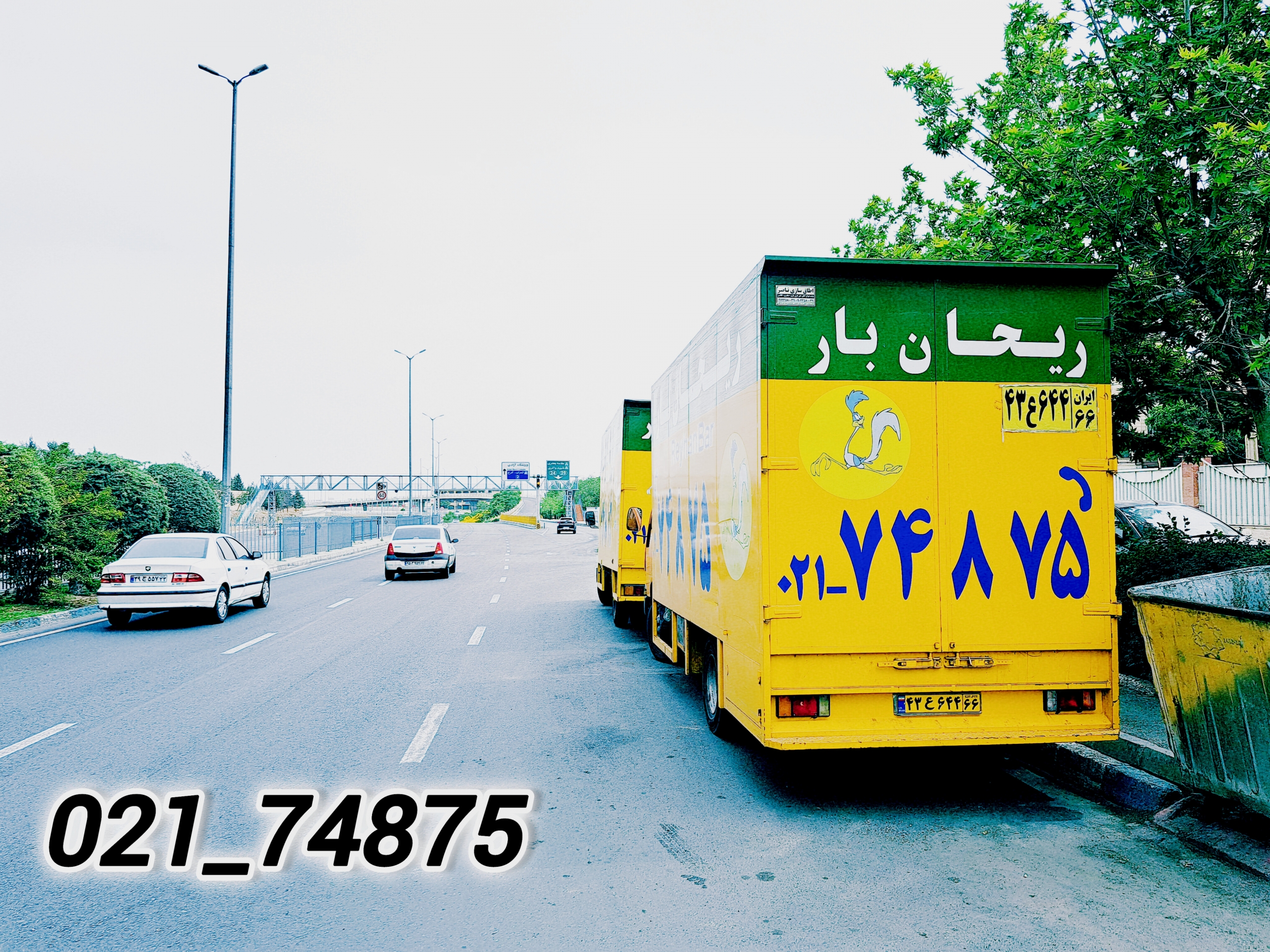 ماشین های vip
